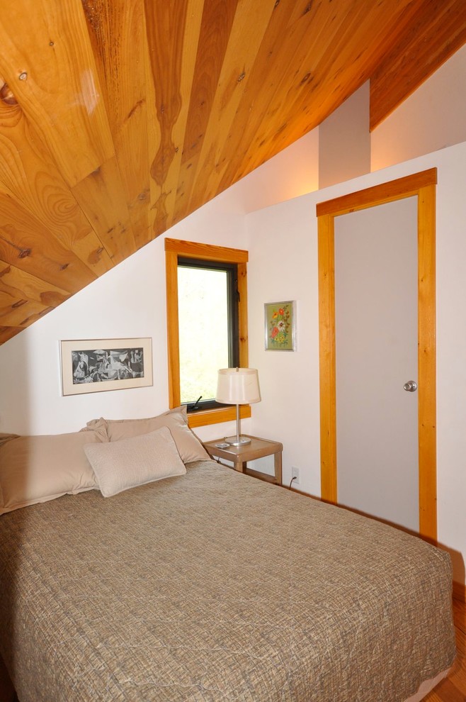 Foto de dormitorio tipo loft rústico pequeño con paredes blancas, suelo de madera clara, todas las chimeneas y marco de chimenea de piedra