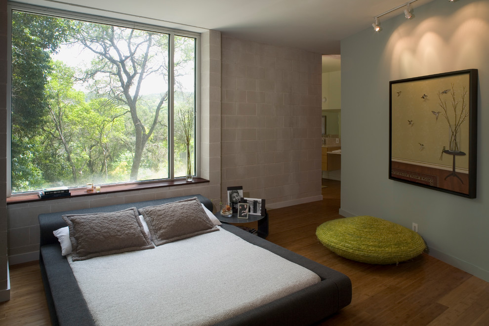 Imagen de dormitorio principal contemporáneo de tamaño medio sin chimenea con paredes azules y suelo de madera en tonos medios