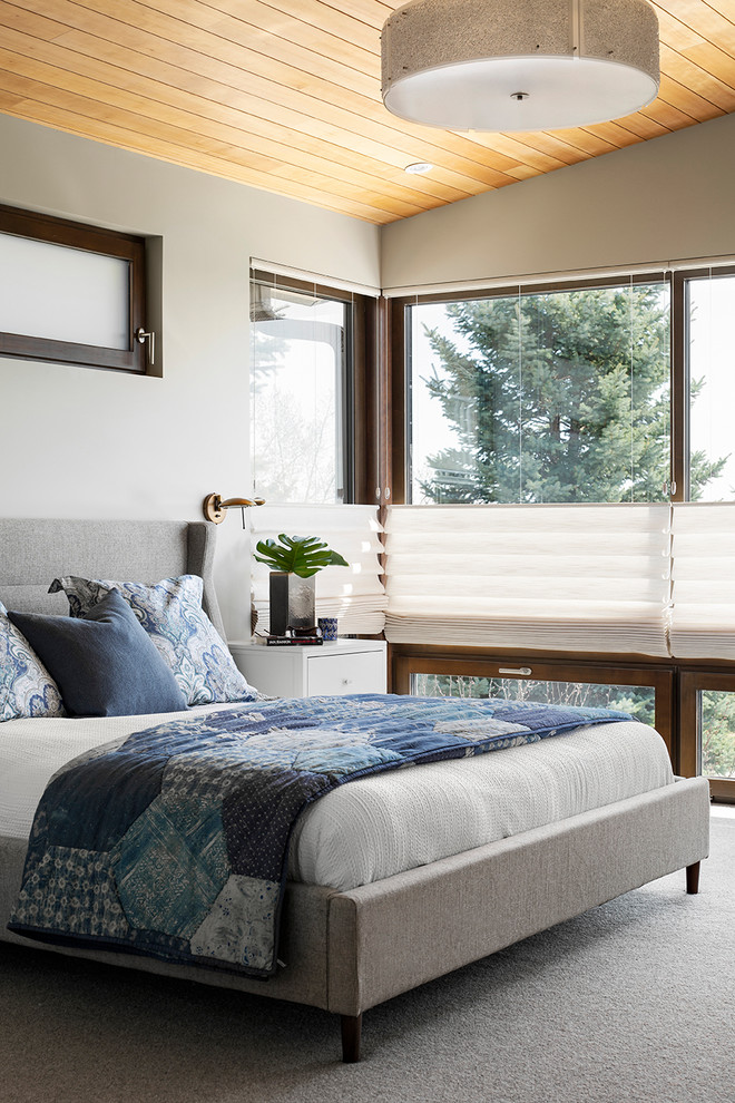 Источник вдохновения для домашнего уюта: хозяйская спальня среднего размера в современном стиле с ковровым покрытием, серыми стенами и серым полом