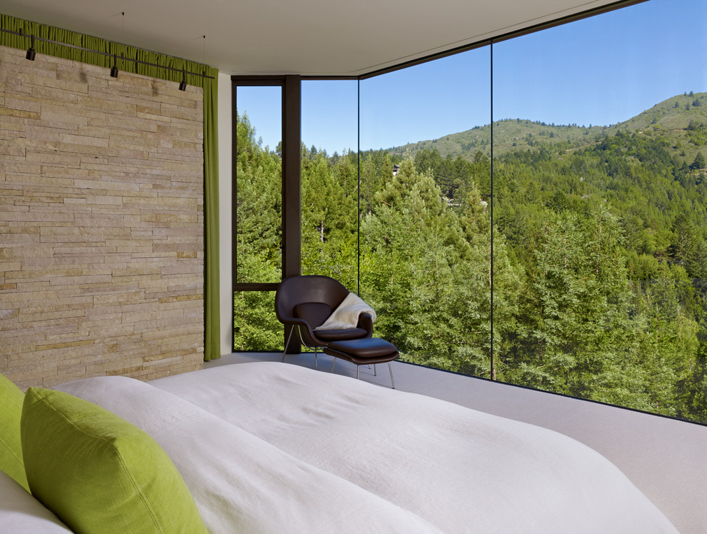 Свежая идея для дизайна: большая хозяйская спальня в современном стиле с ковровым покрытием и бежевыми стенами без камина - отличное фото интерьера