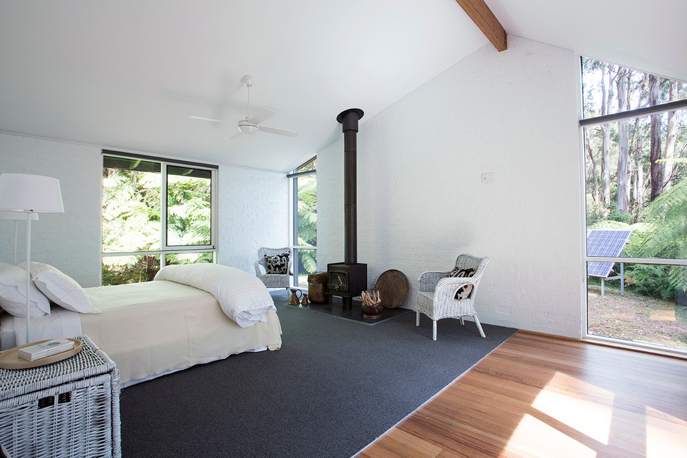 Modelo de dormitorio principal minimalista de tamaño medio con estufa de leña