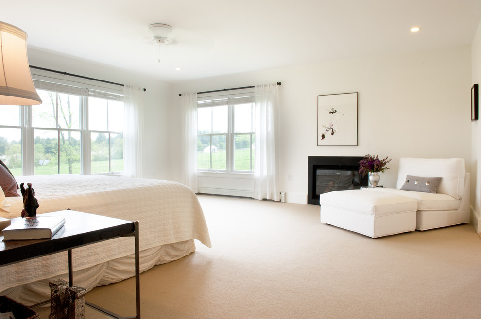 Bedroom - contemporary carpeted bedroom idea in Boston with white walls