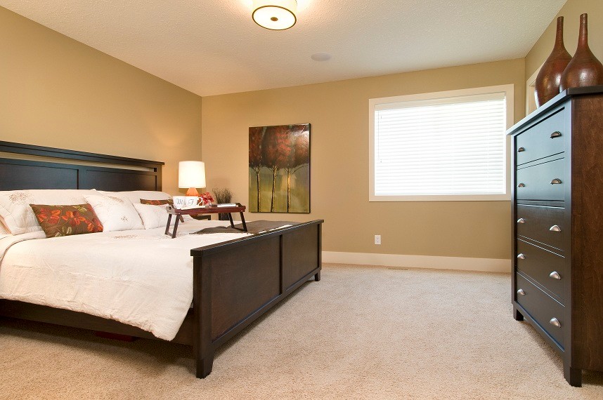 Trendy bedroom photo in Edmonton