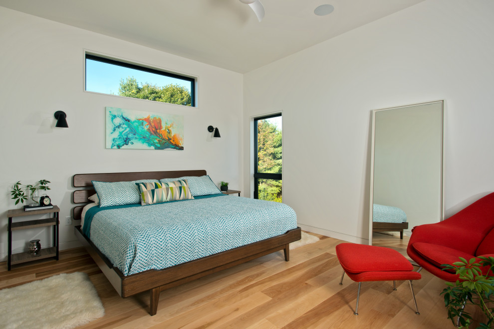 Modernes Schlafzimmer mit weißer Wandfarbe, braunem Holzboden und braunem Boden in Boston