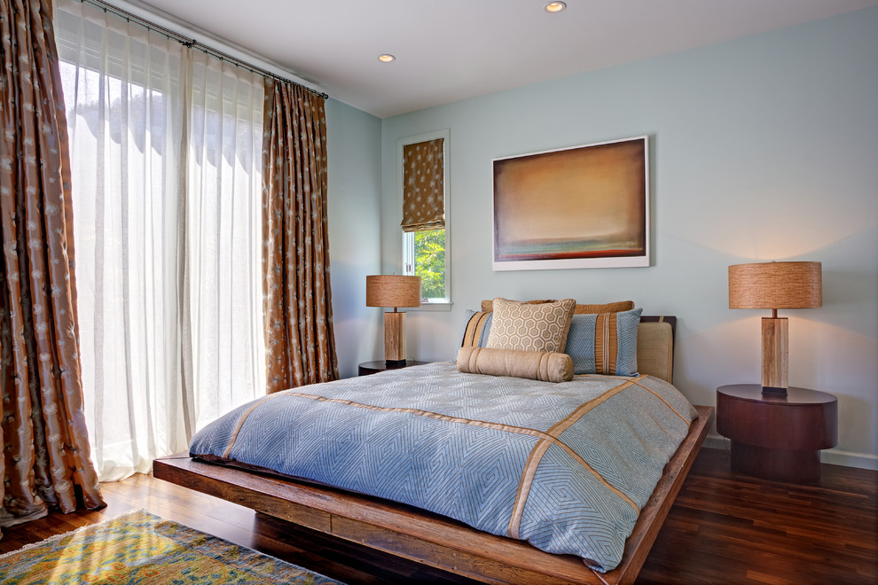 Modelo de habitación de invitados actual grande con paredes azules y suelo de madera oscura
