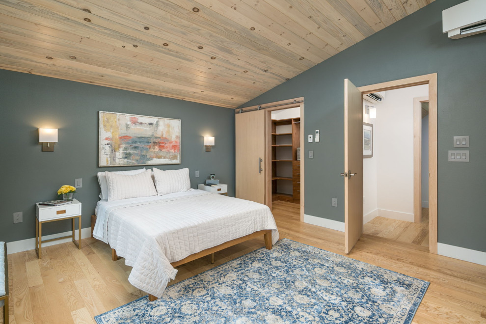 Inspiration for a small contemporary master bedroom in Denver with multi-coloured walls, light hardwood flooring, beige floors and a vaulted ceiling.
