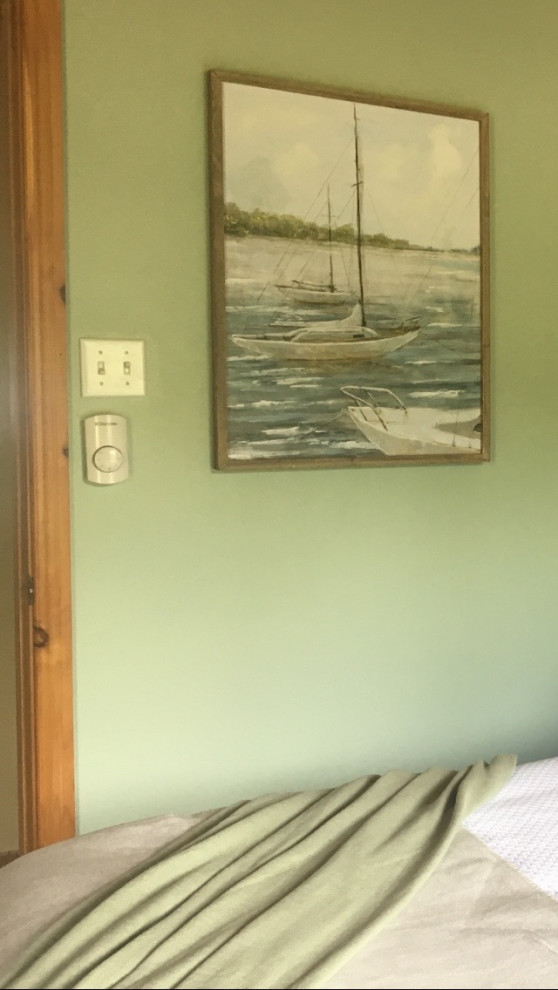 Cette image montre une petite chambre d'amis marine avec un mur vert, sol en stratifié et un sol orange.