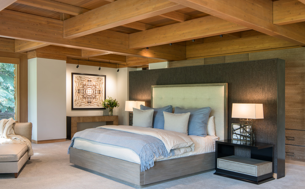 Источник вдохновения для домашнего уюта: большая хозяйская спальня в стиле модернизм с ковровым покрытием, серыми стенами и серым полом без камина