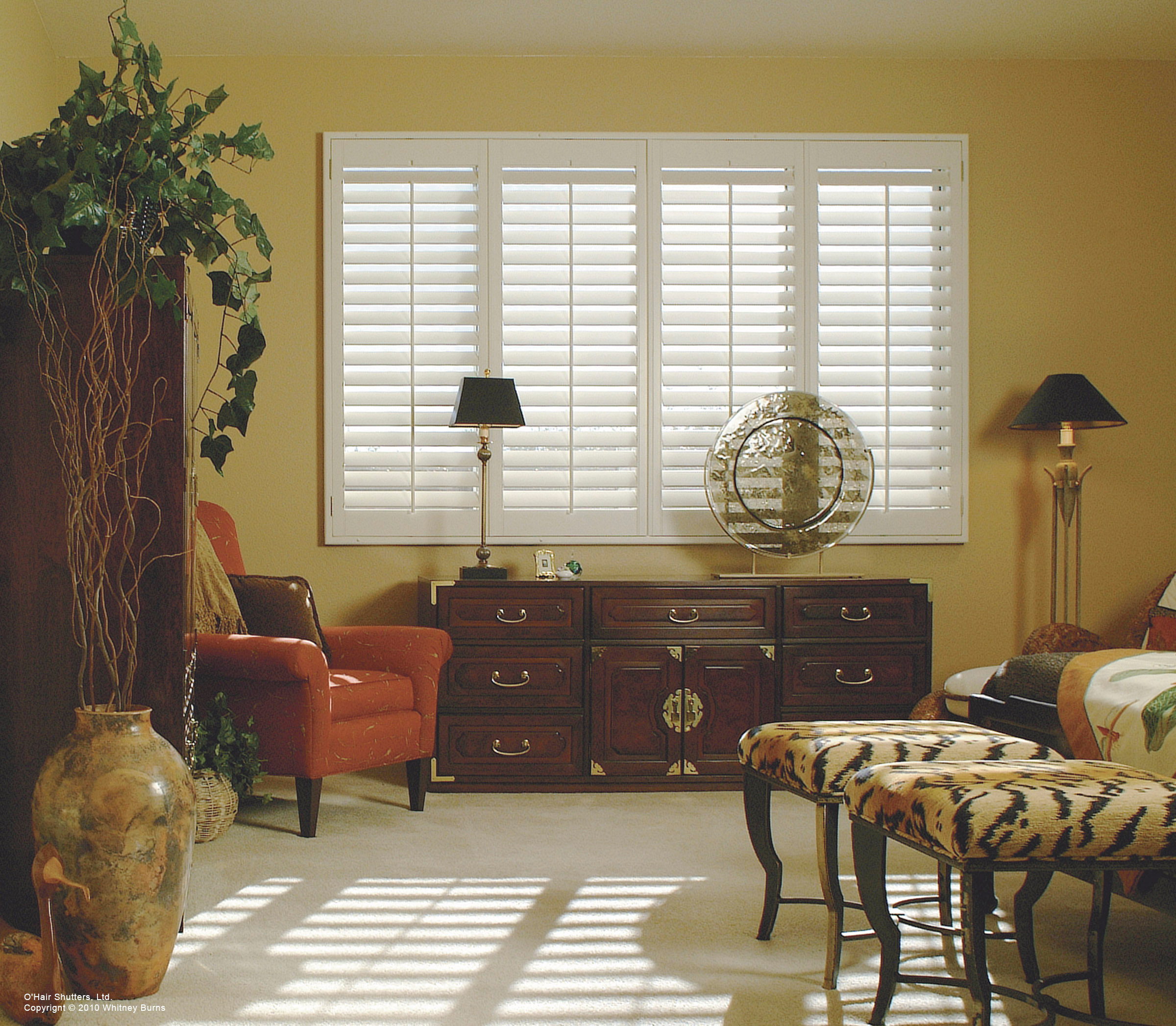 O'hair Shutters - Photos & Ideas | Houzz