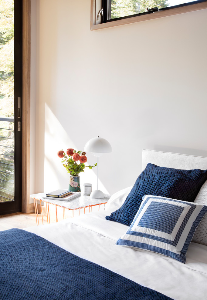 Источник вдохновения для домашнего уюта: большая хозяйская спальня в стиле модернизм с белыми стенами, двусторонним камином, фасадом камина из штукатурки и светлым паркетным полом