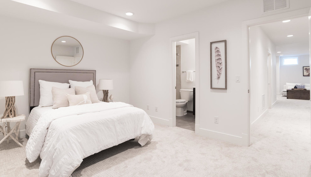 Bedroom - guest carpeted bedroom idea in DC Metro with white walls