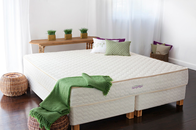 Organic Latex Mattresses from Moss Envy - Traditional - Bedroom -  Minneapolis - by Moss Envy | Houzz IE