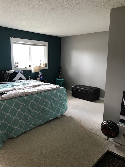 Kleines Klassisches Schlafzimmer mit grauer Wandfarbe, Teppichboden und beigem Boden in Edmonton