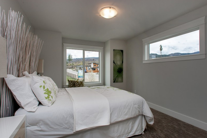 Источник вдохновения для домашнего уюта: гостевая спальня среднего размера, (комната для гостей) в современном стиле с серыми стенами и ковровым покрытием