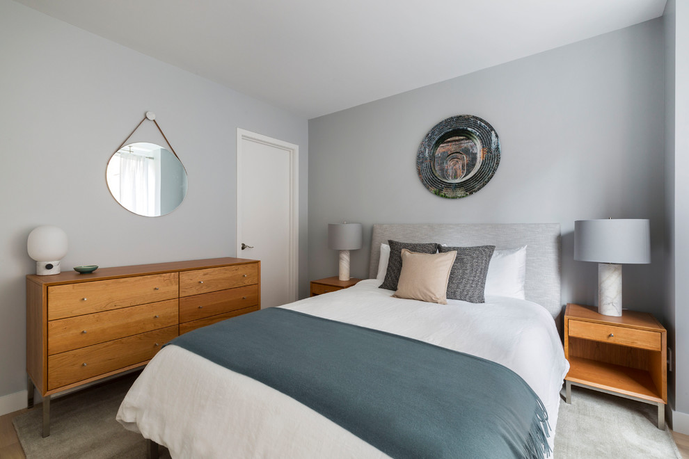 Bedroom - modern master bedroom idea in New York