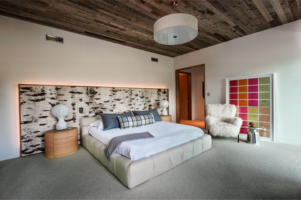 Источник вдохновения для домашнего уюта: хозяйская спальня в современном стиле с белыми стенами и ковровым покрытием без камина