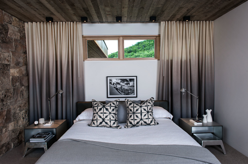 Bedroom - contemporary guest carpeted bedroom idea in Salt Lake City with white walls and no fireplace