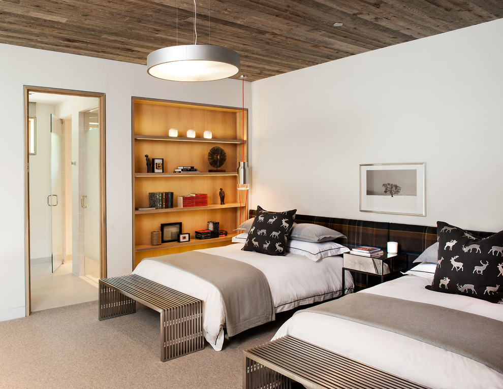 На фото: гостевая спальня (комната для гостей) в современном стиле с белыми стенами и ковровым покрытием без камина с