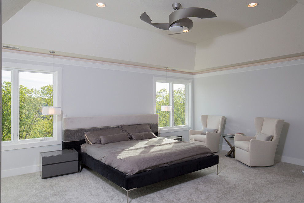 Example of a large minimalist master carpeted bedroom design in Other with gray walls