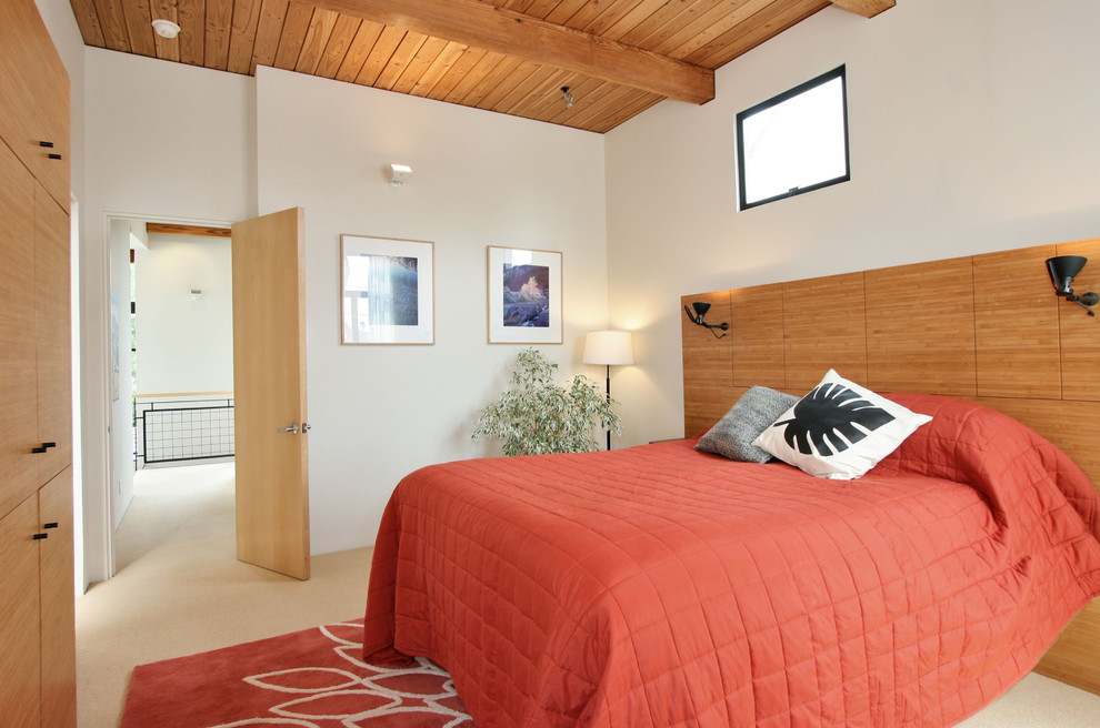 Свежая идея для дизайна: спальня в стиле модернизм с белыми стенами - отличное фото интерьера