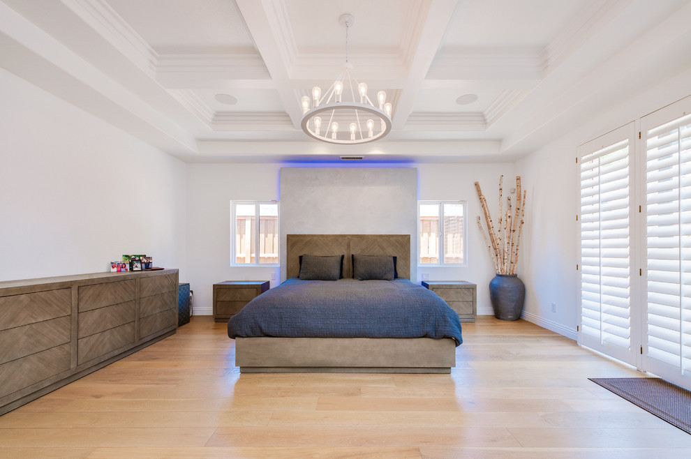Example of a large transitional master light wood floor and brown floor bedroom design in Los Angeles with white walls