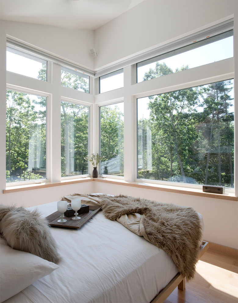 Diseño de dormitorio principal contemporáneo de tamaño medio con paredes blancas y suelo de madera clara