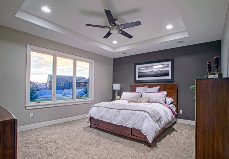 This is an example of a medium sized traditional master bedroom in Other with grey walls, carpet, no fireplace and beige floors.