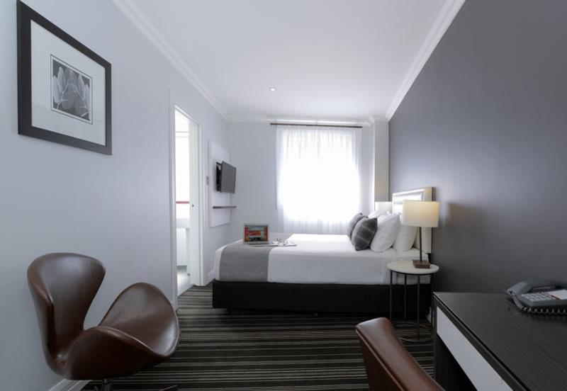 Modelo de habitación de invitados moderna sin chimenea con paredes grises y moqueta