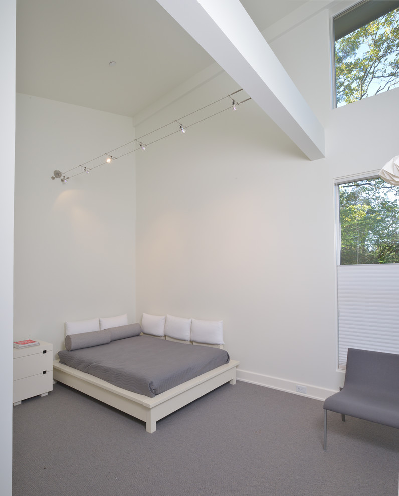 Пример оригинального дизайна: спальня в стиле модернизм с белыми стенами и ковровым покрытием