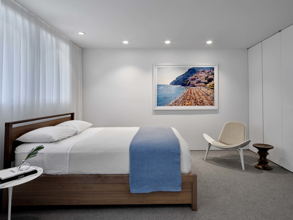 サンタバーバラにあるモダンスタイルのおしゃれな寝室 (白い壁、カーペット敷き、グレーの床) のインテリア