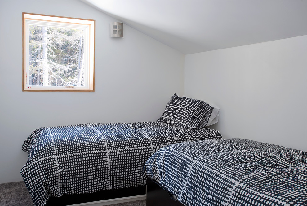 Example of a small mountain style guest carpeted bedroom design in Portland Maine with white walls