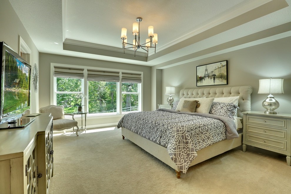 Plymouth | Master Bedroom Suite - Transitional - Bedroom - Minneapolis