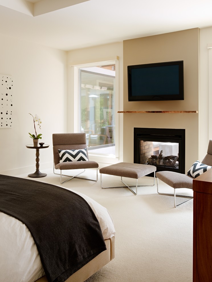 Cette image montre une chambre design avec une cheminée double-face.