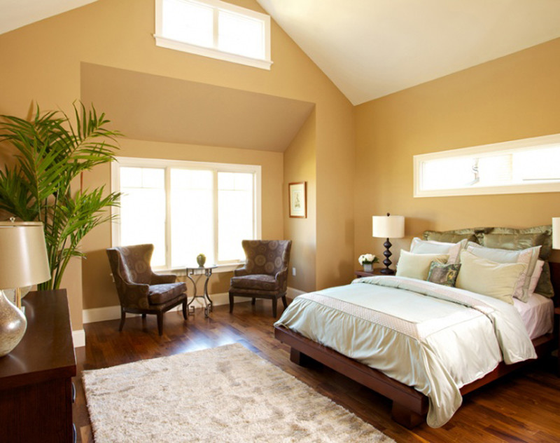 Example of a mid-sized classic master dark wood floor and brown floor bedroom design in Boston with yellow walls
