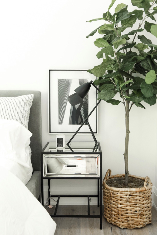 Modelo de habitación de invitados minimalista pequeña sin chimenea con paredes blancas, suelo de madera en tonos medios y suelo gris