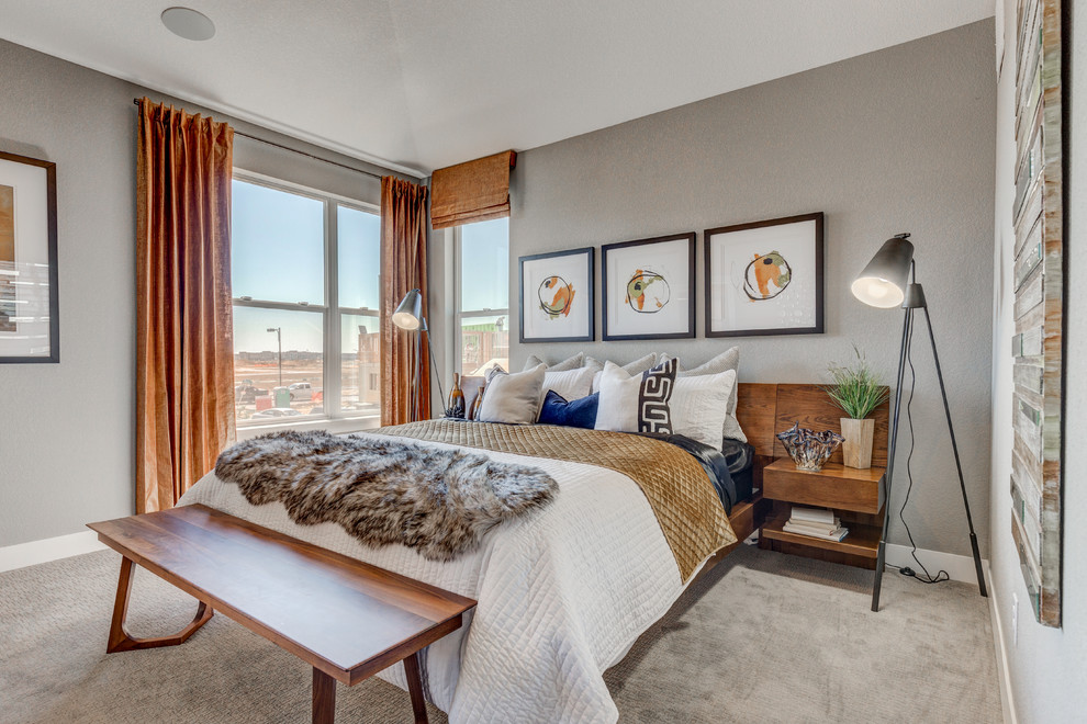 Design ideas for a contemporary bedroom in Denver.