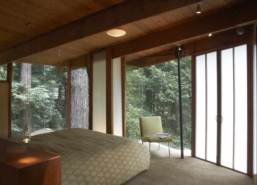 Свежая идея для дизайна: спальня в современном стиле с ковровым покрытием - отличное фото интерьера