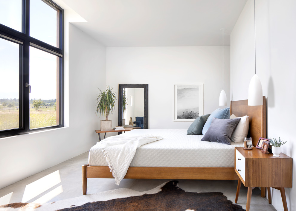 Example of a large danish master concrete floor and gray floor bedroom design in Other with white walls and no fireplace