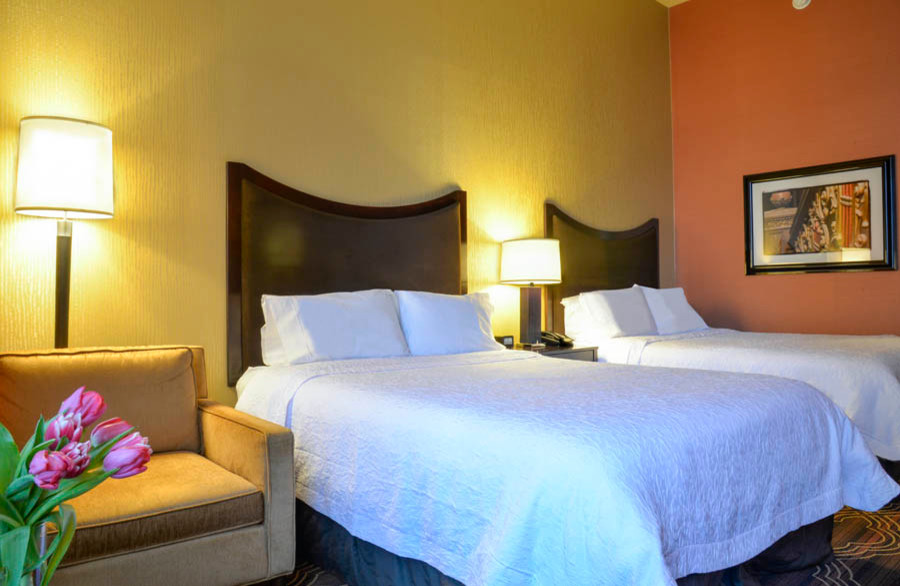 Свежая идея для дизайна: гостевая спальня среднего размера, (комната для гостей) в современном стиле с оранжевыми стенами и ковровым покрытием без камина - отличное фото интерьера