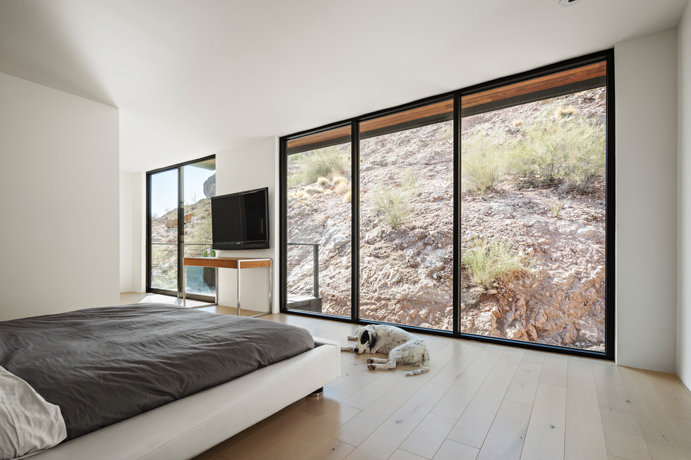 Modernes Schlafzimmer mit weißer Wandfarbe und hellem Holzboden in Phoenix