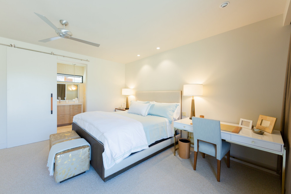 Foto di un'ampia camera degli ospiti minimal con pareti beige e moquette
