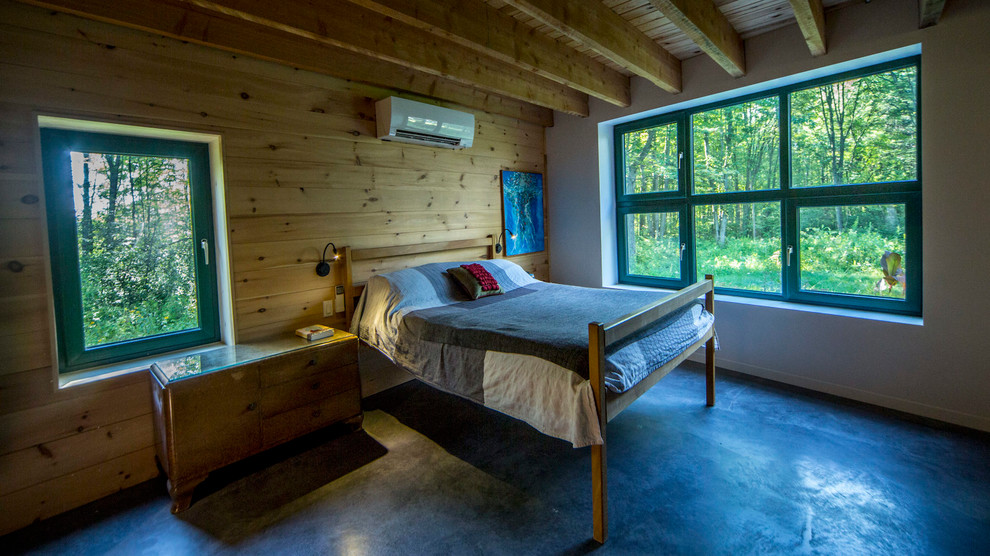 Пример оригинального дизайна: гостевая спальня среднего размера, (комната для гостей) в стиле рустика с разноцветными стенами, бетонным полом и серым полом