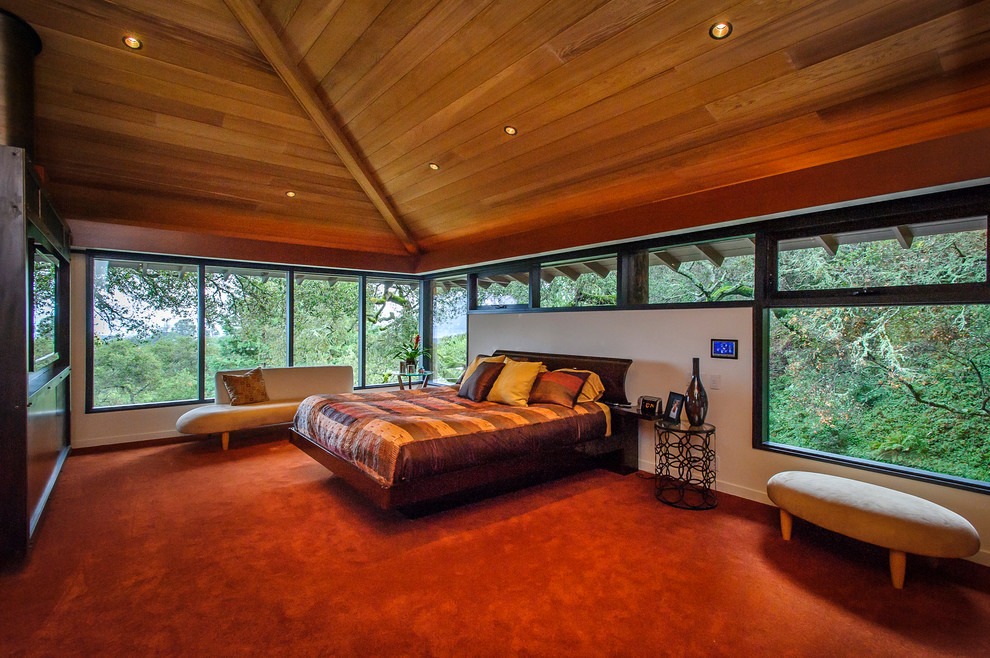 Идея дизайна: спальня среднего размера в стиле модернизм с белыми стенами и ковровым покрытием