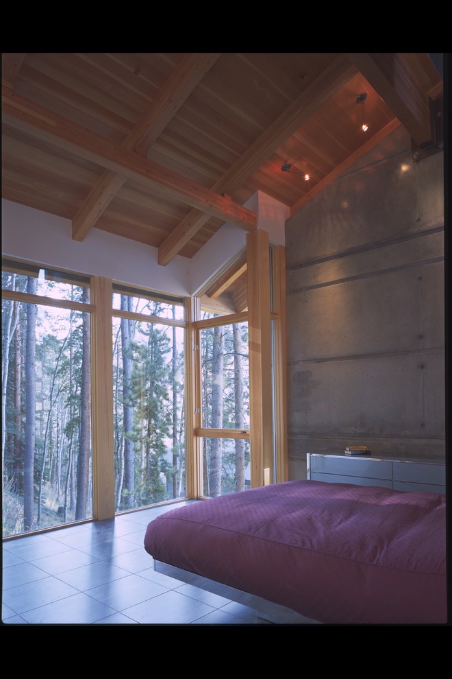Ejemplo de dormitorio principal minimalista de tamaño medio sin chimenea con paredes blancas