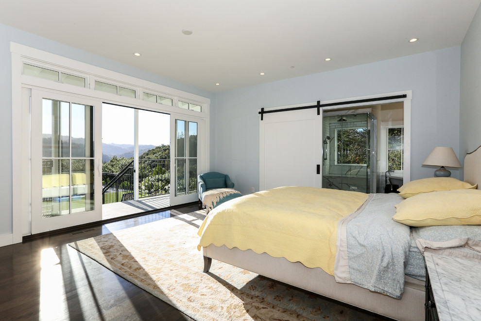 Photo of a contemporary master bedroom in San Francisco with blue walls and dark hardwood flooring.