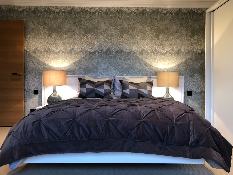 This is an example of a large contemporary bedroom in Other.
