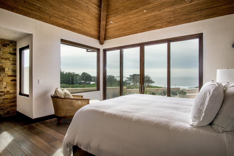 サンフランシスコにある広いビーチスタイルのおしゃれな主寝室 (白い壁、無垢フローリング、標準型暖炉、石材の暖炉まわり) のインテリア