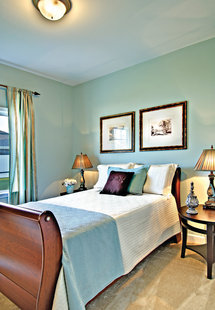 Example of a mid-sized cottage guest carpeted bedroom design in Miami with blue walls and no fireplace