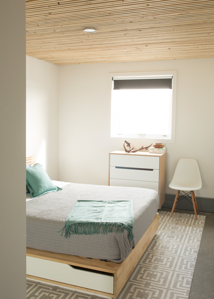 Идея дизайна: маленькая хозяйская спальня в скандинавском стиле с белыми стенами и бетонным полом для на участке и в саду