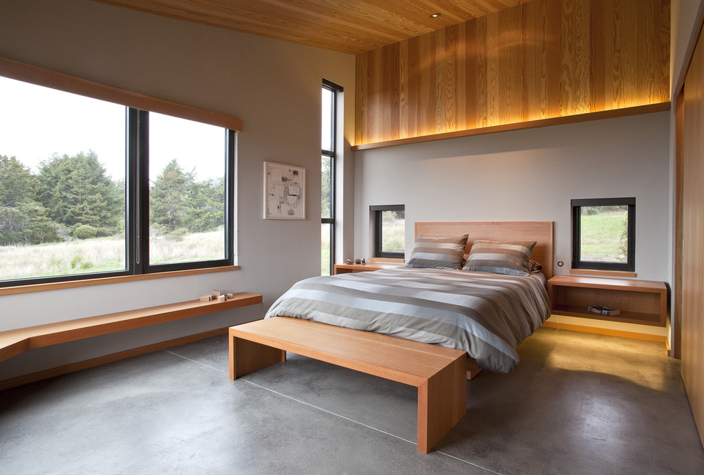Immagine di una camera da letto minimal con pavimento in cemento e pareti grigie